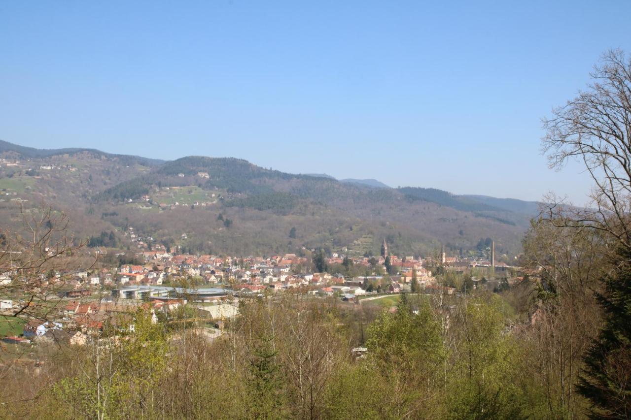 Gite Le Chataignier Luttenbach-près-Munster Exteriér fotografie
